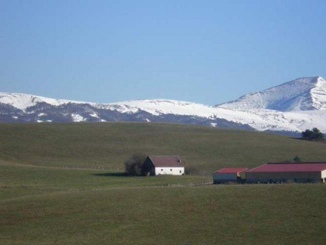 Hostal Casa Sario Jaurrieta Exteriör bild